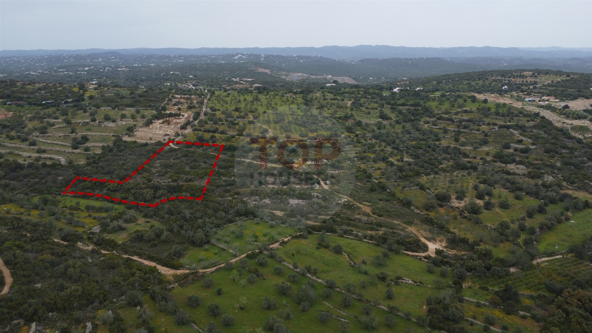 Terreno Rústico  Venda em Moncarapacho e Fuseta,Olhão